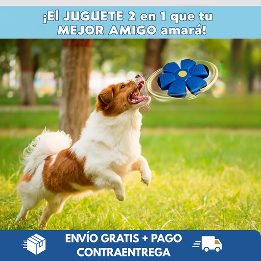 🐶✨ Pelota 2 en 1 para Perros